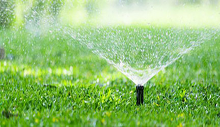 watering regulations st johns county fl